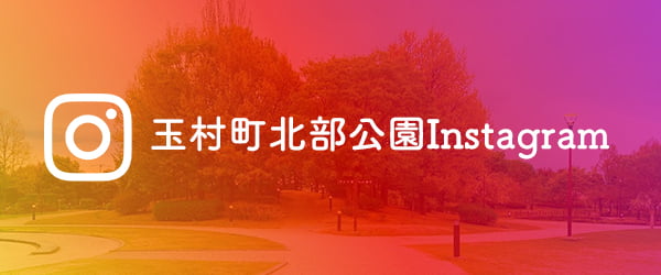 玉村町北部公園Instagram